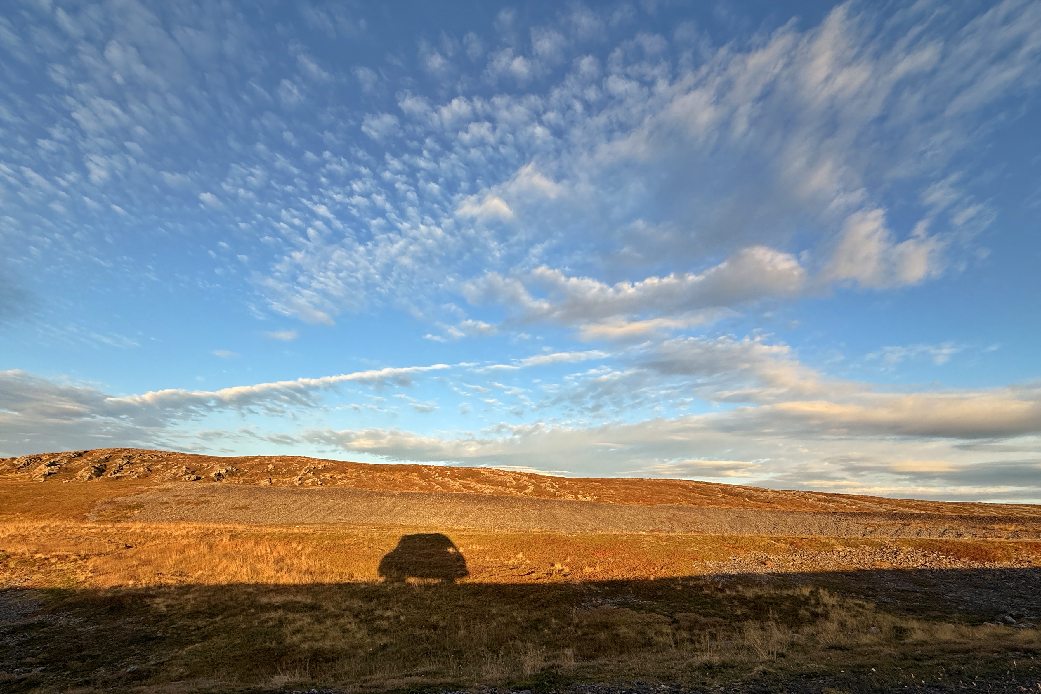Route et paysage de toundra sous le ciel d'automne